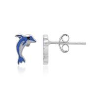 Boucles d'oreilles en argent