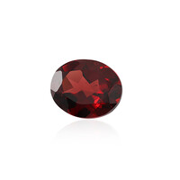  Grenat du Mozambique 3,373 ct (gemme et boîte de collection)