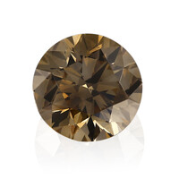  Diamant cognac SI1 d'Argyle (Mark Tremonti) (gemme et boîte de collection)