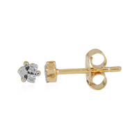 Boucles d'oreilles en argent et Diamant I3 (I)