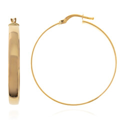 Boucles d'oreilles en or