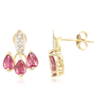 Boucles d'oreilles en or et Saphir Padparadscha non chauffé