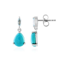 Boucles d'oreilles en argent et Turquoise Sleeping Beauty
