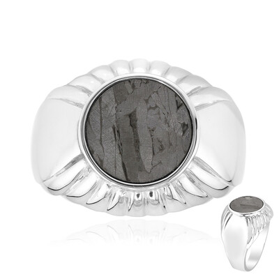 Bague en argent et Météorite d'Alétaï