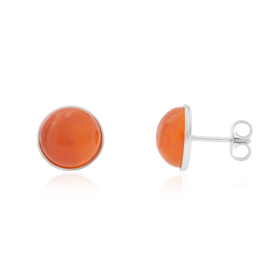 Boucles d'oreilles en argent et Cornaline (CUSTODANA)