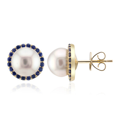Boucles d'oreilles en or et Perle blanche des mers du sud (Michelle Albala)