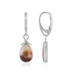 Boucles d'oreilles en argent et Bois pétrifié opalisé (Bali Barong)