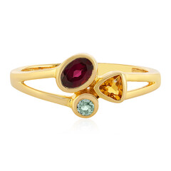 Bague en argent et Grenat Rhodolite
