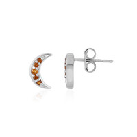 Boucles d'oreilles en argent et Citrine