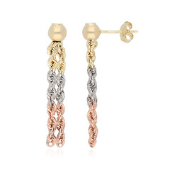 Boucles d'oreilles en or