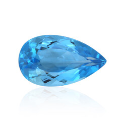  Topaze de Marambaia 13,04 ct (gemme et boîte de collection)