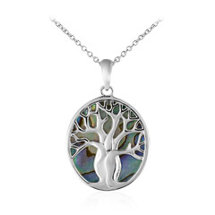 Collier en argent et Coquillage d'Abalone