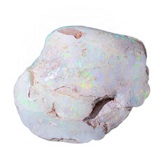  Opale cristal coquillage (gemme et boîte de collection)