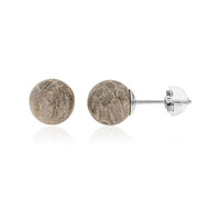 Boucles d'oreilles en argent et Corail fossilisé