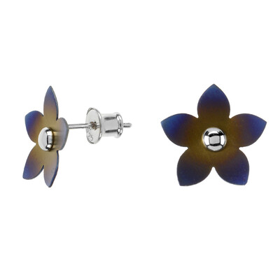 Boucles d'oreilles (dagen)