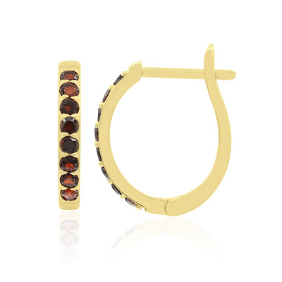 Boucles d'oreilles en argent et Grenat