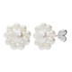 Boucles d'oreilles en argent et Perle blanche de culture d'eau douce