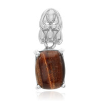 Pendentif en argent et Œil-de-tigre rouge