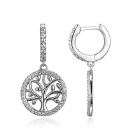 Boucles d'oreilles en argent et Zircon