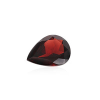  Grenat du Mozambique 9,016 ct (gemme et boîte de collection)