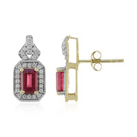 Boucles d'oreilles en or et Rubis de Madagascar (Adela Gold)