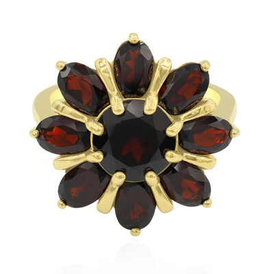 Bague en argent et Grenat