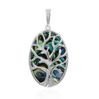 Pendentif en argent et Coquillage d'Abalone