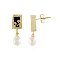 Boucles d'oreilles en argent et Onyx noir