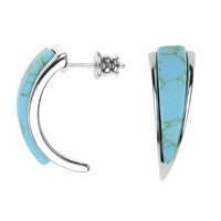 Boucles d'oreilles en argent et Turquoise