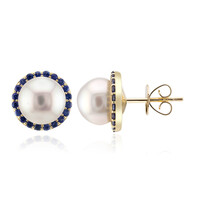 Boucles d'oreilles en or et Perle blanche des mers du sud (Michelle Albala)