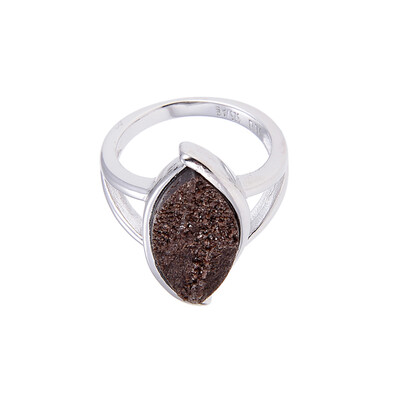 Bague en argent et Bois fossilisé de Zwenkau