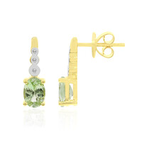 Boucles d'oreilles en or et Grenat Tsavorite du Kenya (Tenner Diniz)