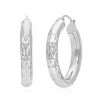Boucles d'oreilles en argent