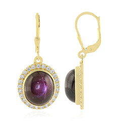 Boucles d'oreilles en argent et Grenat étoilé