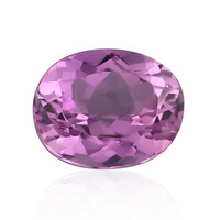  Kunzite de Patroke (gemme et boîte de collection)