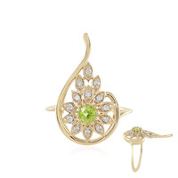 Bague en or et Grenat Démantoïde (AMAYANI)