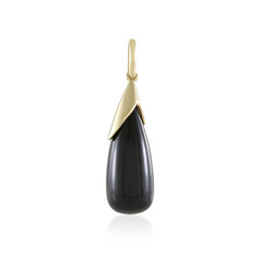 Pendentif en or et Onyx noir