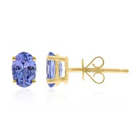 Boucles d'oreilles en or et Tanzanite AAA (CIRARI)