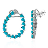 Boucles d'oreilles en argent et Turquoise Sleeping Beauty
