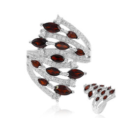 Bague en argent et Grenat