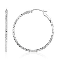 Boucles d'oreilles en argent