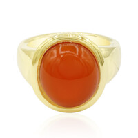 Bague en argent et Cornaline
