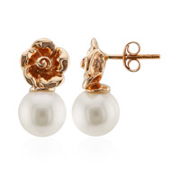 Boucles d'oreilles en or et Perle blanche de culture d'eau douce (TPC)