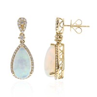 Boucles d'oreilles en or et Opale Welo AAA (CIRARI)