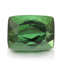  Tourmaline verte (gemme et boîte de collection)