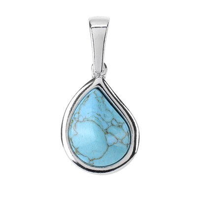 Pendentif en argent et Turquoise (dagen)