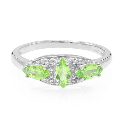 Bague en argent et Grenat de Merelani