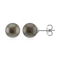 Boucles d'oreilles en argent et Perle de culture de Tahiti (TPC)