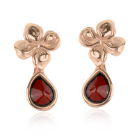 Boucles d'oreilles en argent et Ambre baltique