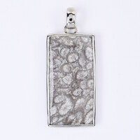 Pendentif en argent et Corail fossilisé